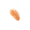 Medium Ostrich Drab Feather 1 pc