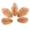 Small Ostrich Feather Drab 1 pc