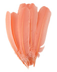 Turkey Quill with Cut Top Selected Wing 1pc