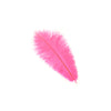 Medium Ostrich Drab Feather 1 pc