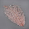 Small Ostrich Feather Drab 1 pc