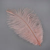 Ostrich Drab Feather Small 1 pc