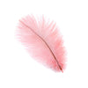 Ostrich Drab Feather Small 1 pc