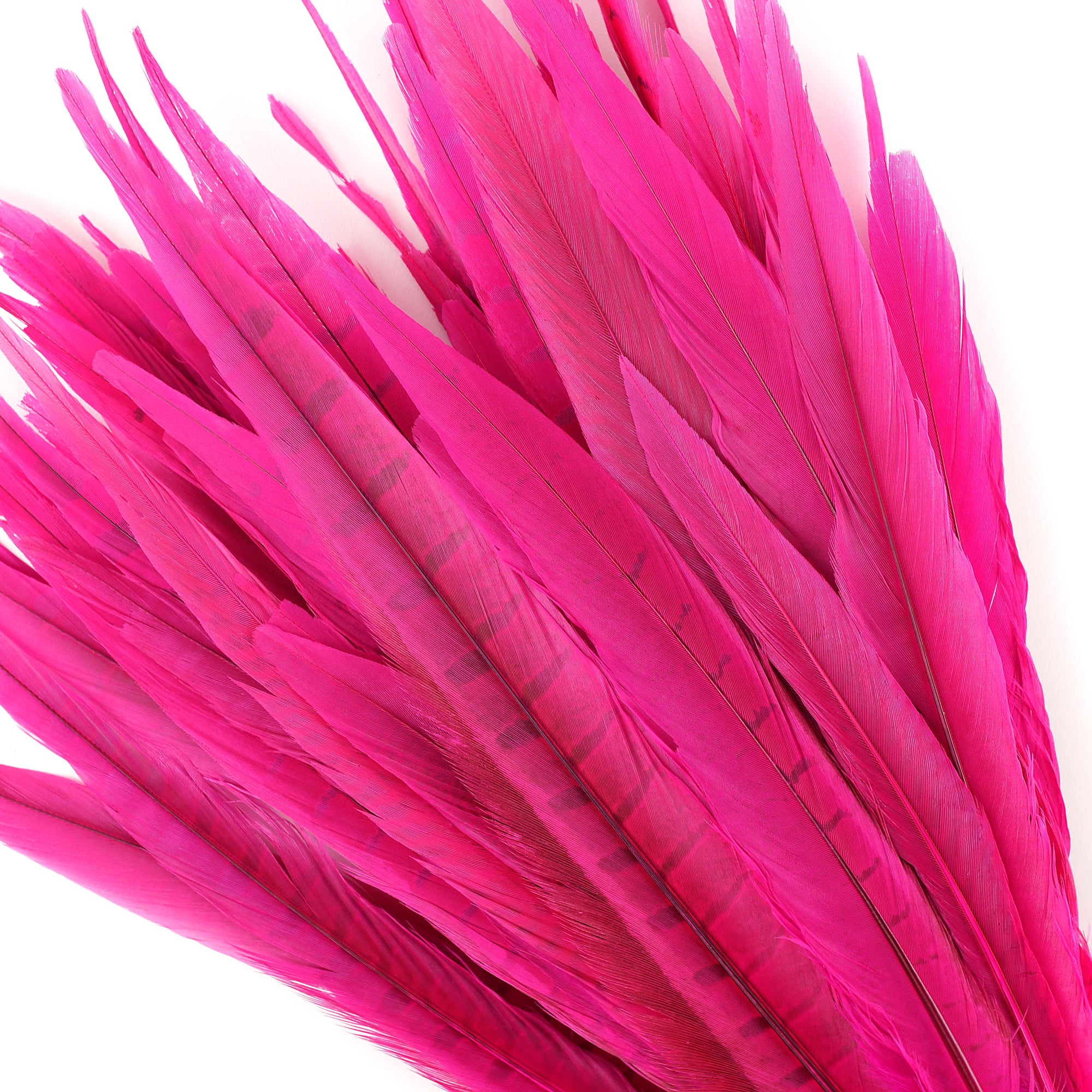 Marabou feathers quality and usage in fly tying Marabou feathers quality and usage in fly tying