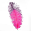 Tipped Ostrich Feather 1 pc