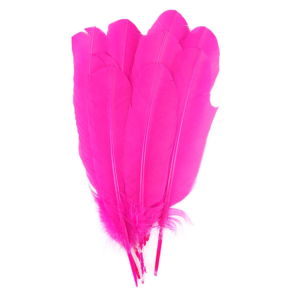 Turkey Quill with Cut Top Selected Wing 1pc