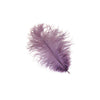Ostrich Drab Feather Medium 1 pc