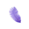 Ostrich Drab Feather Medium 1 pc