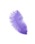 Medium Ostrich Drab Feather 1 pc