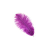 Ostrich Drab Feather Medium 1 pc