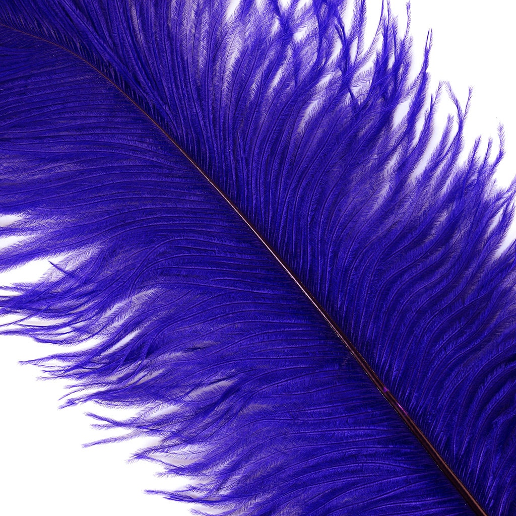 Ostrich Drab Feather Large 1 pc – MarabouBrothers