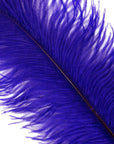 Large Ostrich Drab Feather 1 pc