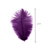 Ostrich Drab Feather Small 1 pc