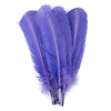 Turkey Quill with Cut Top Selected Wing 1pc