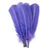 Turkey Quill with Cut Top Selected Pairs 2pc