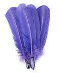 Turkey Quill with Cut Top Selected Wing 1pc