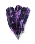 Turkey Quills Tie Dyed 6 pc