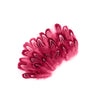 Pheasant Almond Ringneck Plumage Loose 1/8 oz