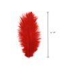 Ostrich Drab Feather Small 1 pc