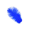 Medium Ostrich Drab Feather 1 pc