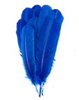 Turkey Quill with Cut Top Selected Wing 1pc