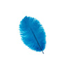 Ostrich Drab Feather Medium 1 pc