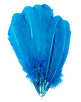 Turkey Quill with Cut Top Selected Wing 1pc