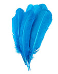 Turkey Quill with Cut Top Selected Wing 1pc