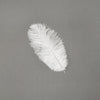 Ostrich Drab Feather Medium 1 pc