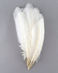 Turkey Quill with Cut Top Selected Wing 1pc