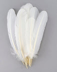 Turkey Quill with Cut Top Selected Wing 1pc