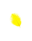 Small Ostrich Feather Drab 1 pc