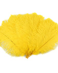 Large Ostrich Drab Feather 1 pc