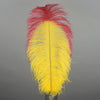 Tipped Ostrich Feather 1 pc