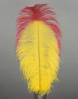 Tipped Ostrich Feather 1 pc